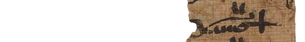 photo of the hieratic text