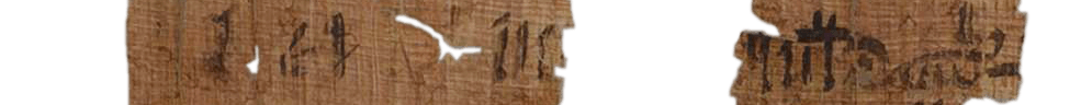 photo of the hieratic text