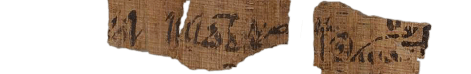 photo of the hieratic text