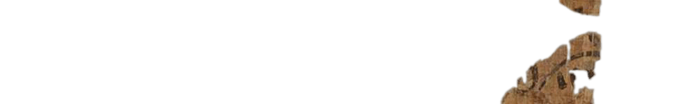 photo of the hieratic text