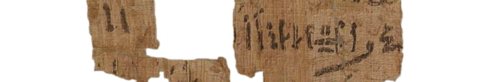 photo of the hieratic text