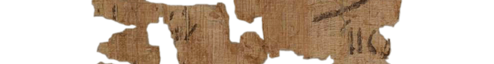 photo of the hieratic text