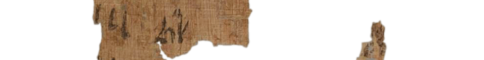 photo of the hieratic text