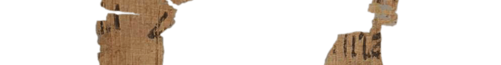 photo of the hieratic text