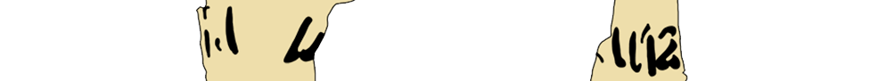 facsimile of the hieratic text